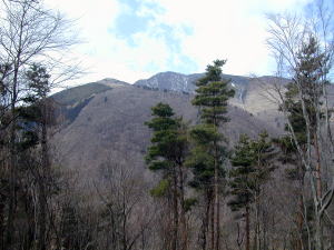 鐘釣山から望む大室山