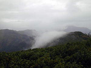 大滝山から徳本峠への稜線
