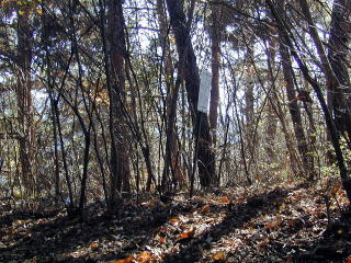 Hagiwarayama -1055m peak.