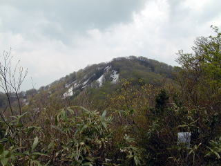 博士山頂上