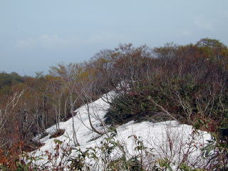 頂上北側の残雪