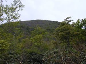 ブナ平か男岳