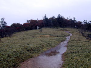 大峰山頂上の御花畑