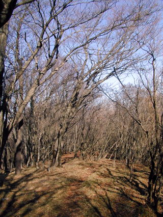 Quiet buautiful trail