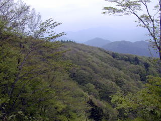 林道から見た南尾根の下部