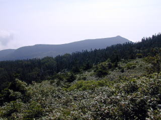 Chausudake