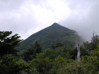 Chausudake Top