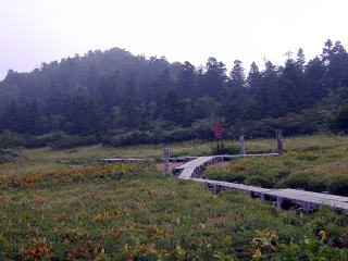 Situgen at the Hirakasa trail branch