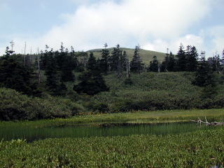 Beautiful Mitsuishi Swamp