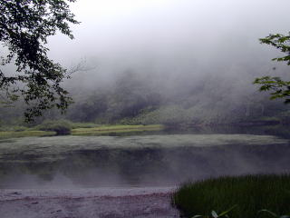 Sironuma pond