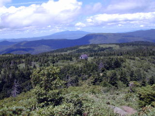 Tasirotai and Tashirokoya