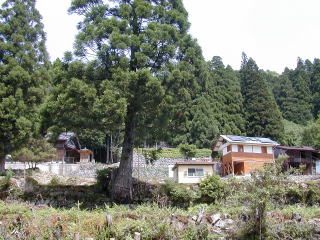 Zennki Station