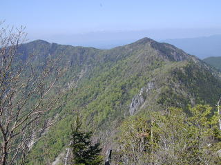 Look Back the trail Ridge