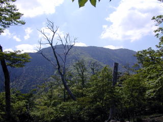 Mt Misen from Benntenn no Mori