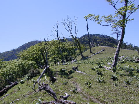 Toward Mt Busshougatake