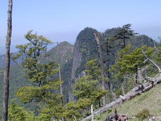 Ookura Face of Mt Shichimennzann