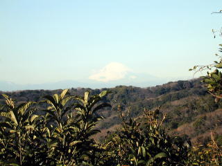 富士山