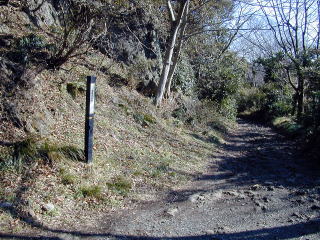 車道