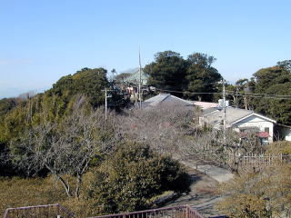 武山不動
