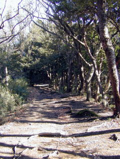 山道