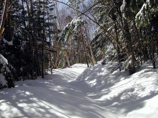 Snowy trail