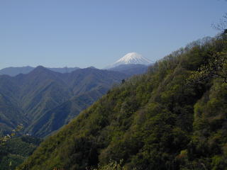 徳並尾根と富士山