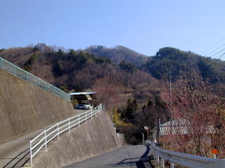 Mizunotayama beyond Kobu Village