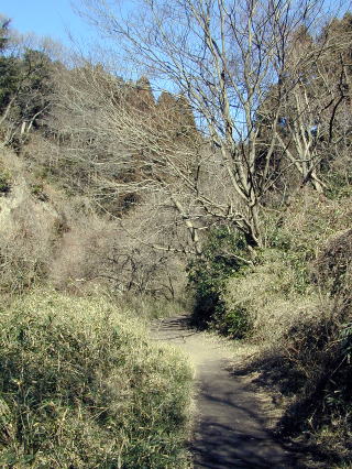 Trail in Moritogawa Valley