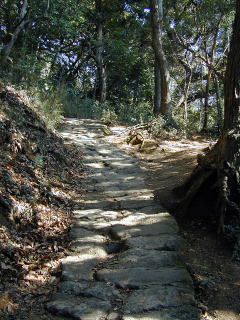 Stone Paved Trail