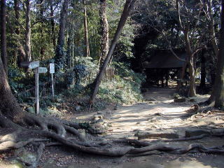 Rifge Trail and Temple Gate
