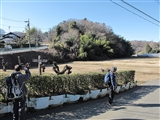 布田道に入る。