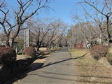 大泉寺参道入口。　
