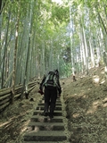 小山田城址に向かって登る。　