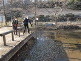 アサザ池にクレソンが侵入している。
