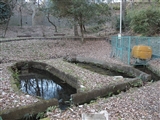 旧養魚場の水源。　