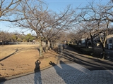 奈良原公園。　