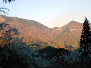 紅葉の巌道峠