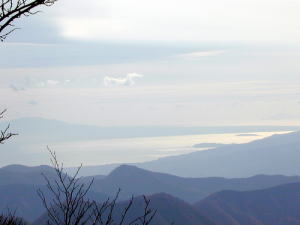 相模湾